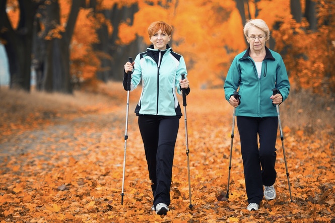 Walking Poles: A Practical Alternative to Stay Active and Balanced